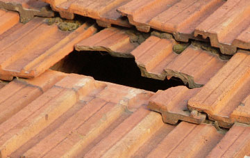 roof repair Lower Ridge